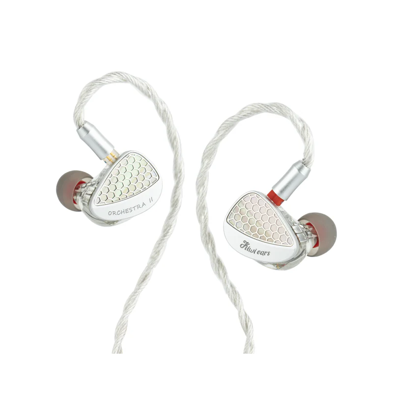 Kiwi Ears Orchestra II - Image 9