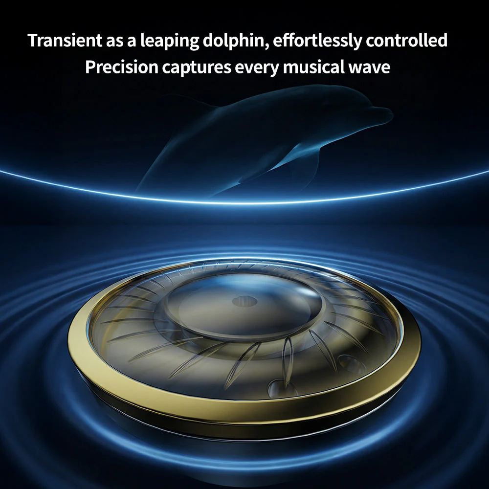 TRN Dolphin - Image 12